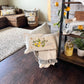 Bundle Deal: Warm Weather Bundle (4 pack) SAVE!!!:WELCOME SPRING BIKE, CITRUS LEMON, FLIP FLOPS, AMERICA 1776