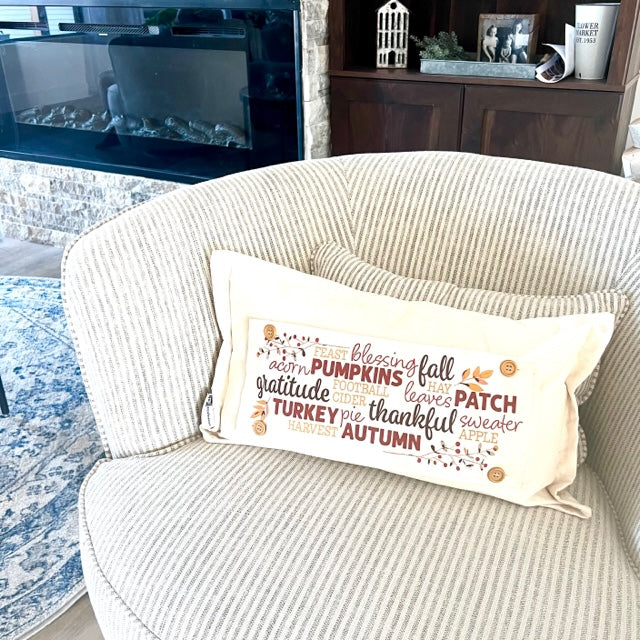 NEW BUNDLE SET: CHARCOAL & CREAM STRIPES Pillow (comes with foam insert and these 3 panels in back pocket); Winter Spring Summer Fall Autumn; TRICK OR TREAT, SUBWAY, MERRY & BRIGHT