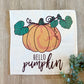 GIFT GUIDE:  PERFECT FOR THE ONE WHO HAS EVERYTHING!   SQUARE  SET: TICKING STRIPES PILLOW (comes with foam insert and these 4 panels in back pocket); Winter Spring Summer Fall Autumn: SKI BENCH, HELLO PUMPKIN, LAND THAT I LOVE, SPRING DRIED FLOWERS