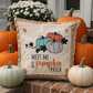 NEW! SQUARE SUMMER/FALL BUNDLE:  3 seasons +TAN POLKA DOT pillow: STRAWBERRY ICE CREAM, LAND THAT I LOVE, PUMPKIN PATCH, CUSTOM PANEL